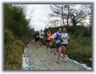 IMG_6074 * 1600 x 1200 * (438KB)