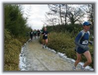 IMG_6077 * 1600 x 1200 * (433KB)