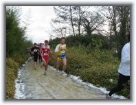 IMG_6078 * 1600 x 1200 * (460KB)