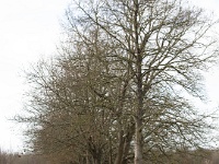 TBC22-OI-5et10km-590